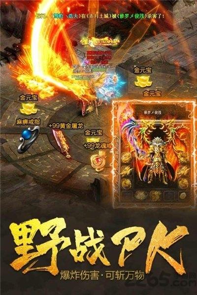 决战血流官方版下载,决战血流,传奇手游,竞技手游